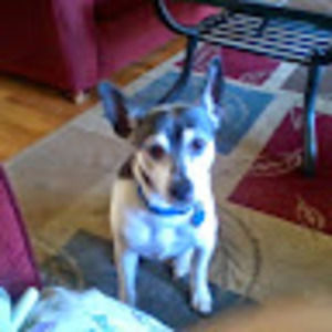 Meet your Posher, Sharon